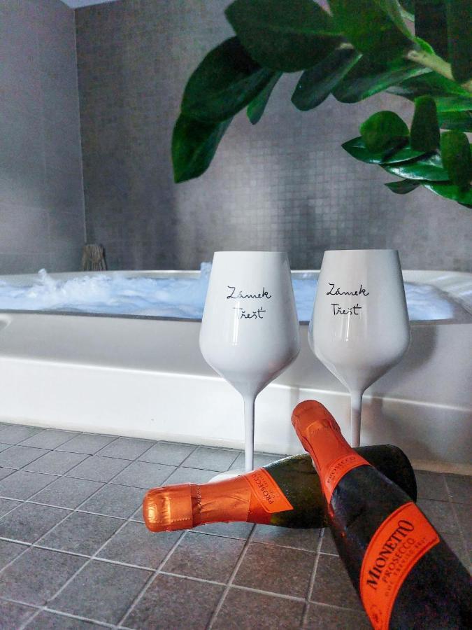 ホテル Zamek Třešť エクステリア 写真